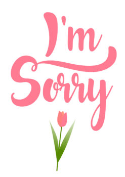 Apology